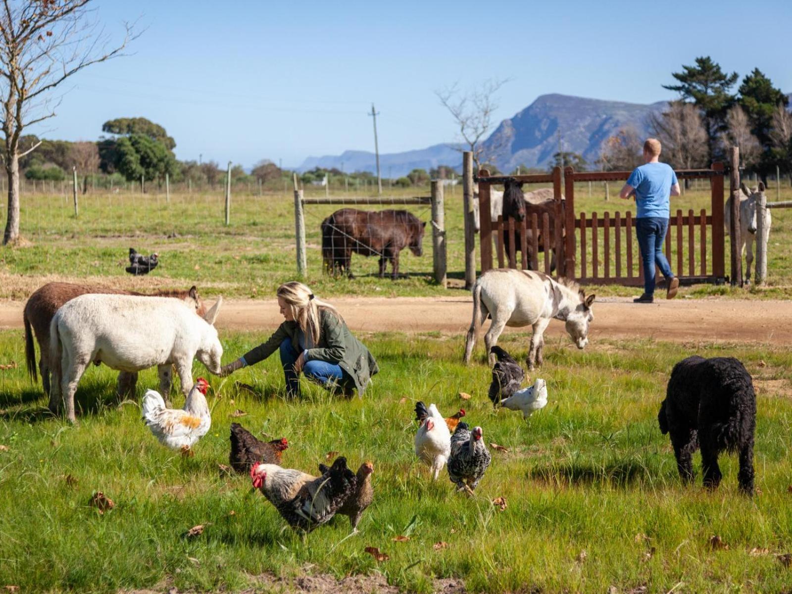 Rivergate Guest Farm 斯坦福 外观 照片